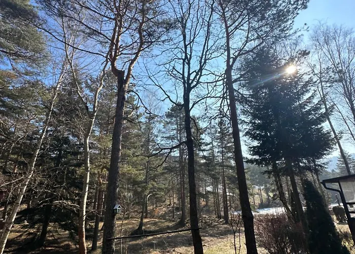 Micic 1 Apartamento Divčibare